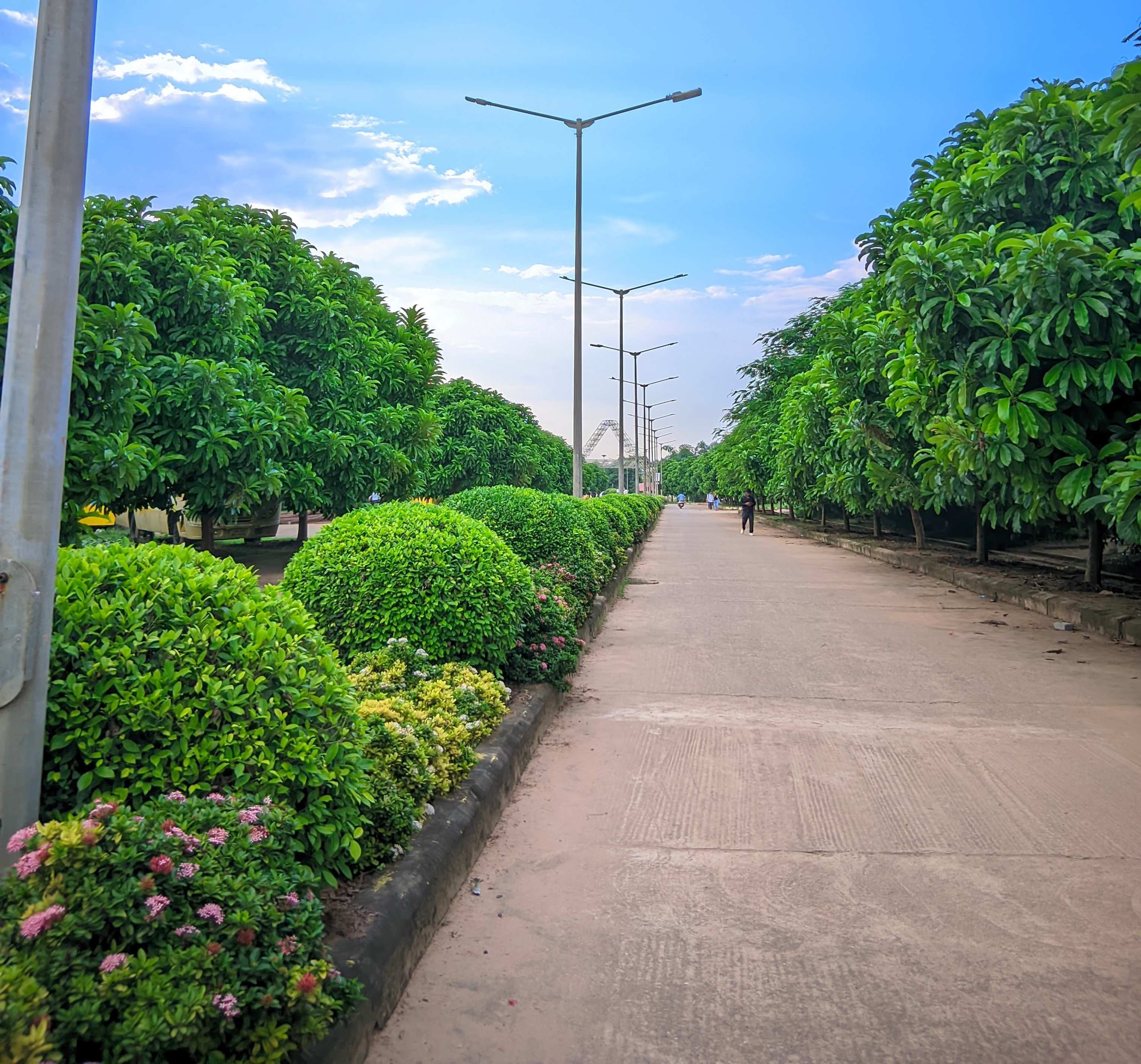 CV Raman Bhubaneswar Academic Building photo 1